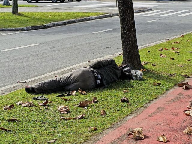 Carla Ayres cobra investigação dos contratos da Assistência Social em Florianópolis